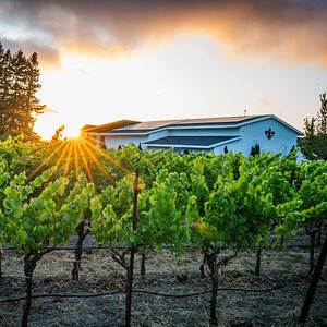 DeLoach Vineyards photo
