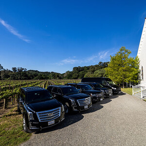 Alta Luxury Transportation photo