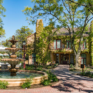 Vinarosa Resort & Spa photo