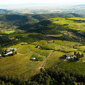 Mountain Terraces Vineyard photo