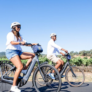 Napa Valley Bike Tours & Rentals photo