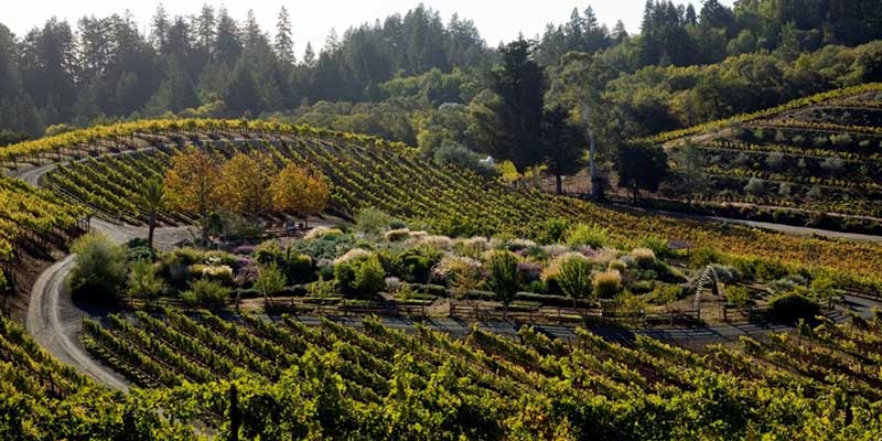 Benziger Family Winery – Glen Ellen, CA – Sonoma.com