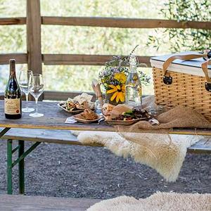 Benziger Family Winery – Glen Ellen, CA – Sonoma.com