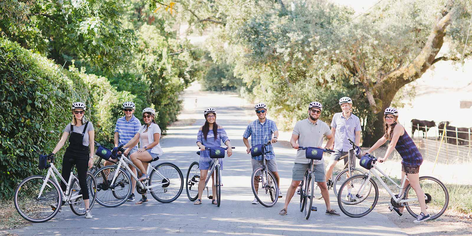 Napa Valley Bike Tours Yountville, CA