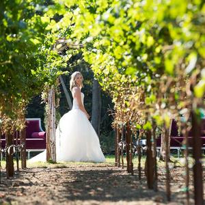 gay wedding napa Gay wedding napa