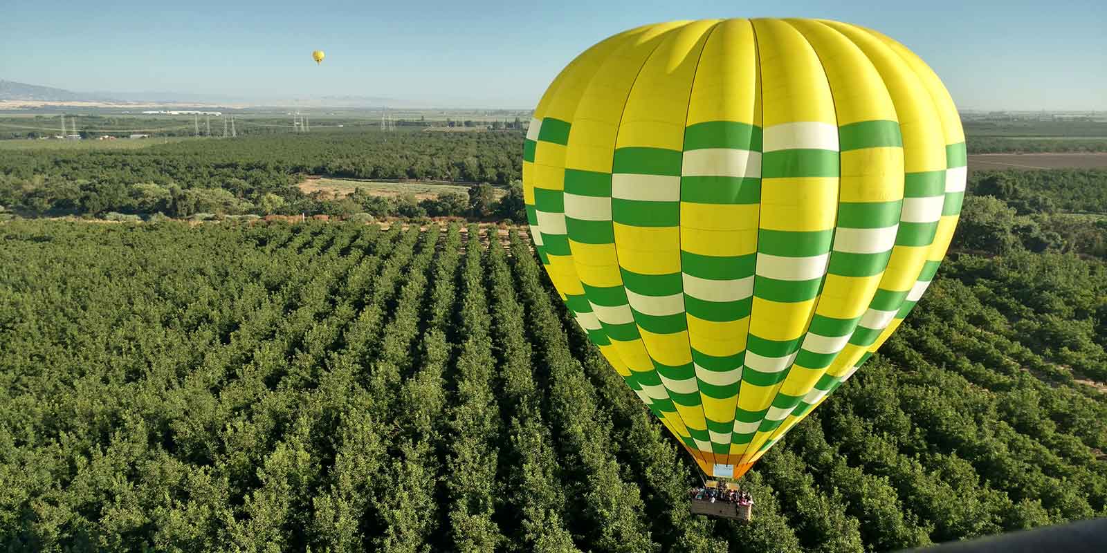 Balloons Above The Valley Napa, CA