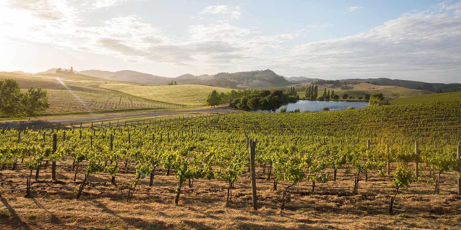 Cuvaison Estate Wines Napa, CA