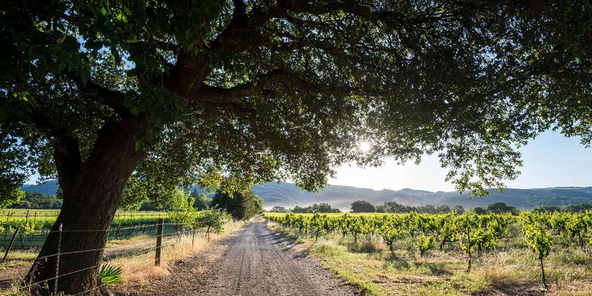 Abbot’s Passage Winery & Mercantile Glen Ellen, CA