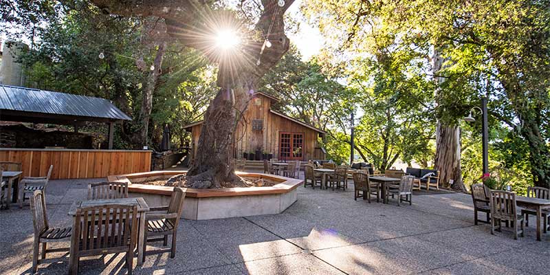 Benziger Family Winery – Glen Ellen, CA – Sonoma.com