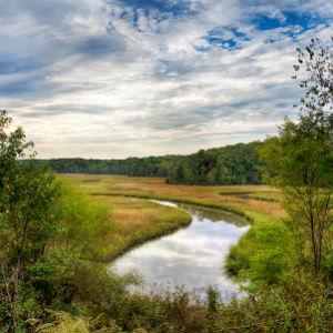 York River State Park photo