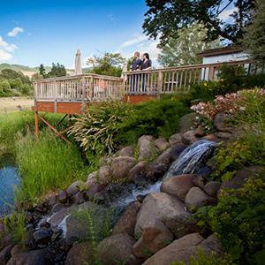 WyEast Vineyards photo