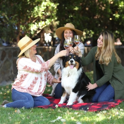 Sebastiani Vineyards