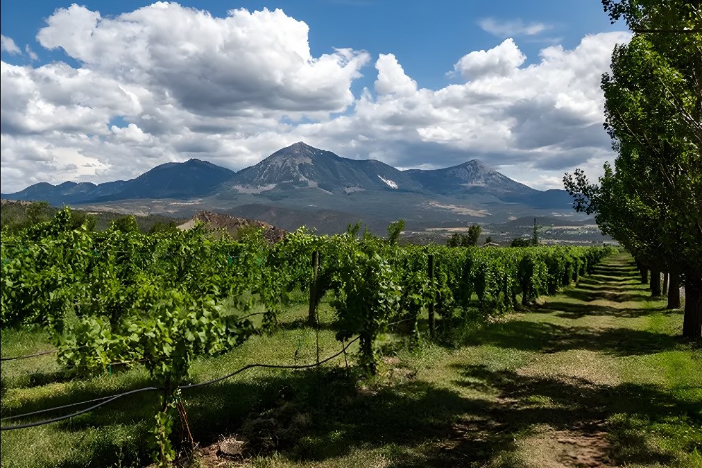 West Elks - Stone Cottage Cellars