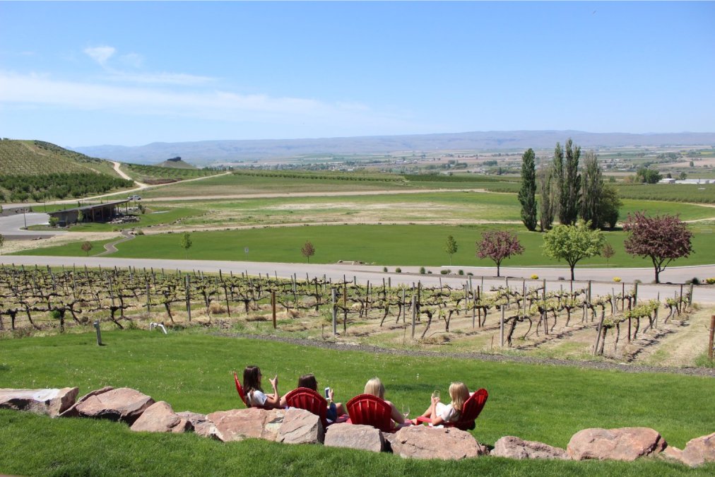 Snake River Wine Tours