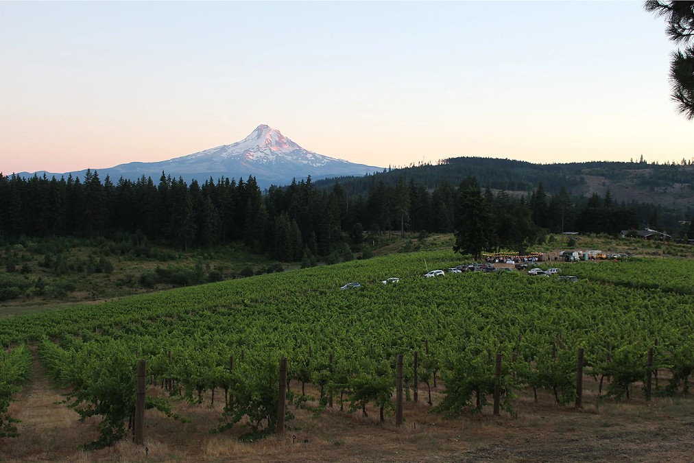 Wy’East Vineyards