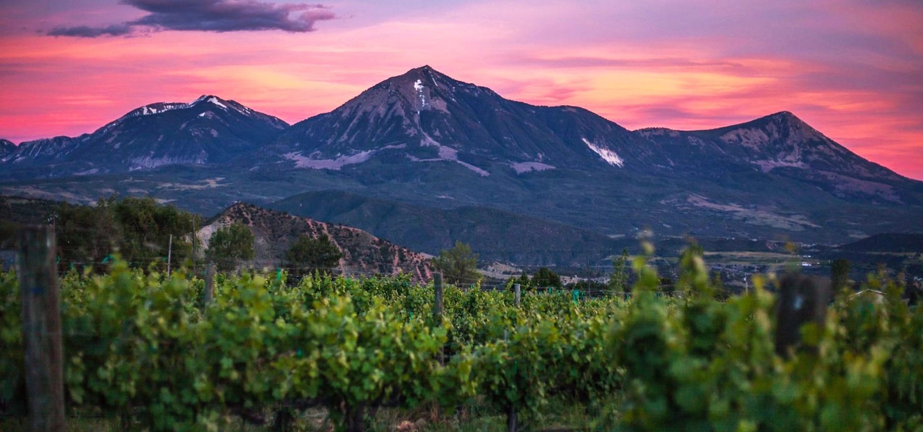 Stone Cottage Cellars