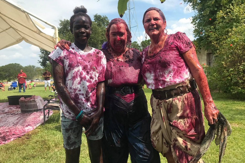 Annual Grape Stomp at Becker Vineyards