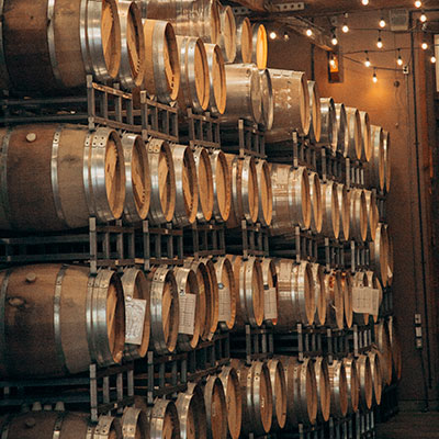 Family Vineyard Discoveries