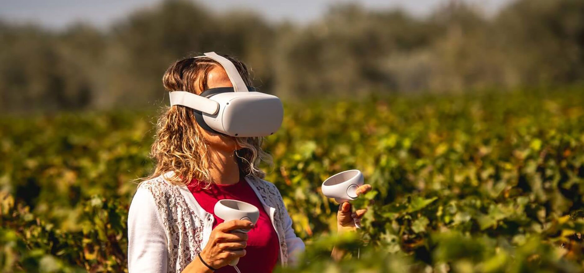 Campo alla Sughera, virtual wine tasting experience