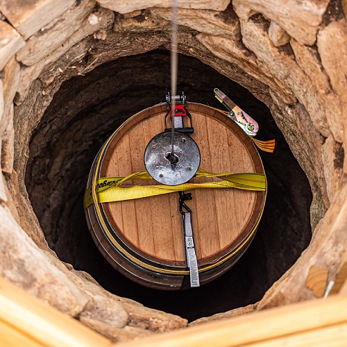 Charleston Taylor (Texas)