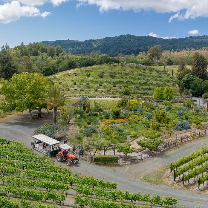 Benziger Family Winery