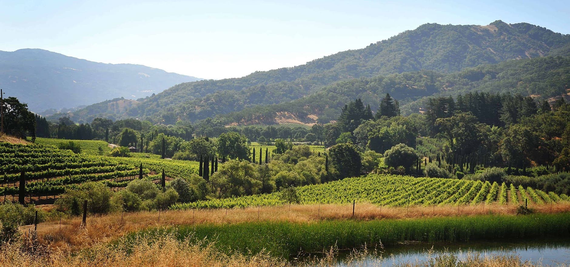 McNab Ridge Winery | Mendocino Winegrowers Inc.