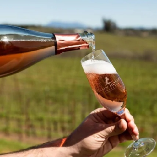 Iron Horse Vineyards