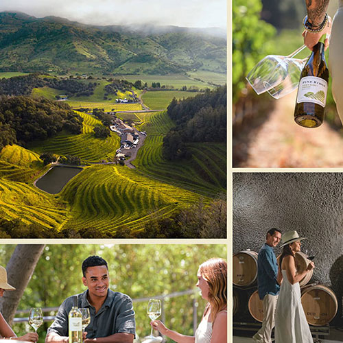 Pine Ridge Vineyards in Napa Valley, CA