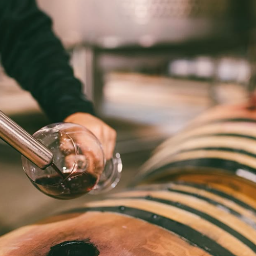 Rhône Barrel Tasting Workshop