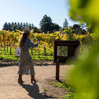 Vineyard Immersion Experiences