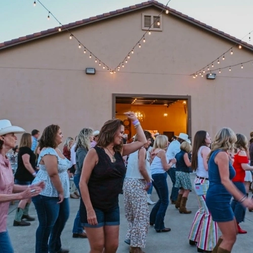 Cattle, Cabernet & Country at McGrail Vineyards