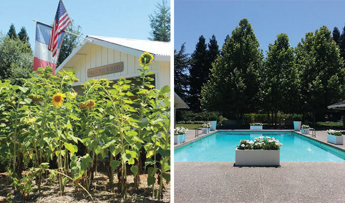 raymond-vineyards-680