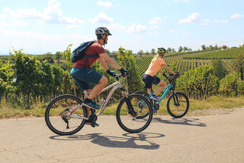 bike tour through the vineyards