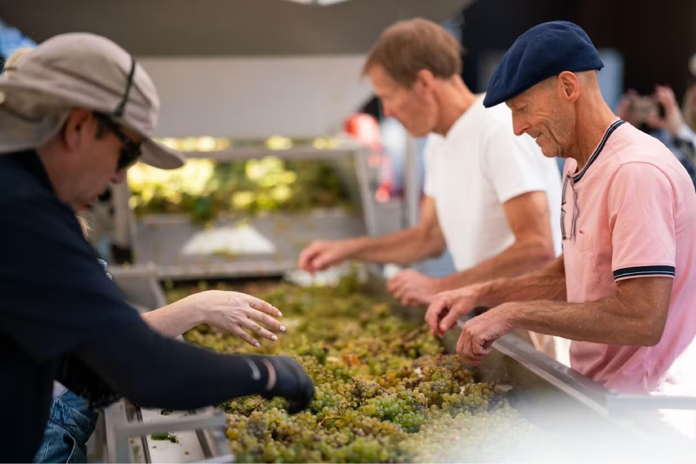 Fantesca Estate & Winery