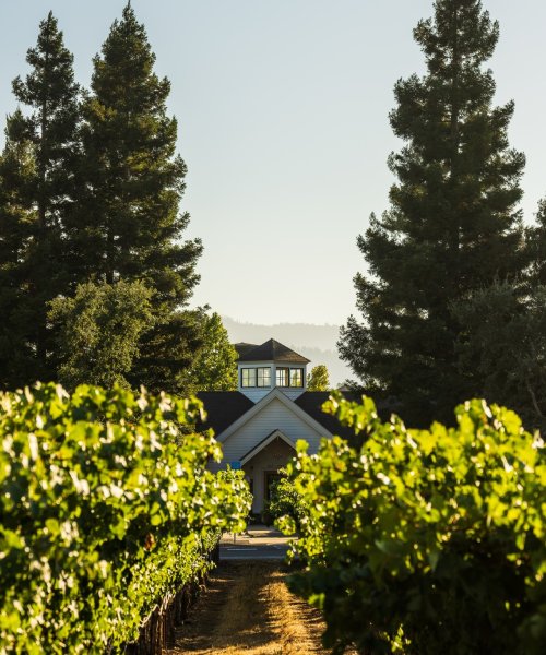Silverado Vineyards