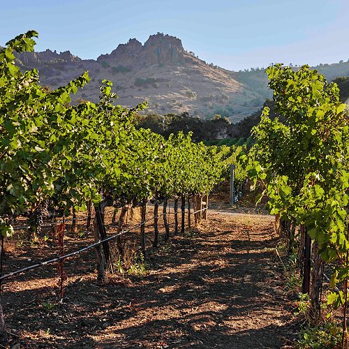 Stag’s Leap Wine Cellars