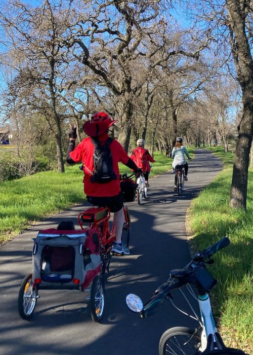 Napa Valley Vine Trail