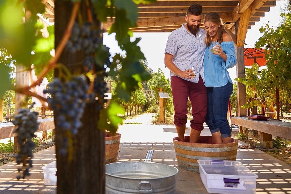 Napa Valley Wine Train and Grgich Hills Estate