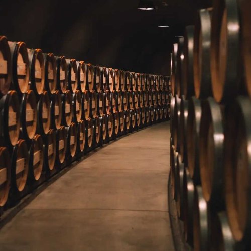 Stag’s Leap Wine Cellars