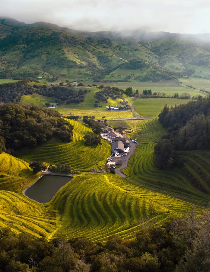 Pine Ridge Vineyards