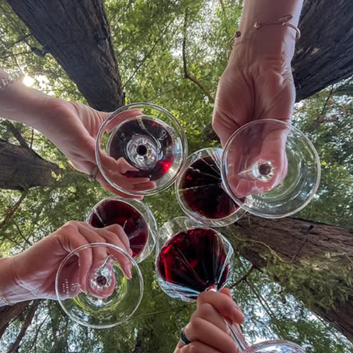 A Taste for Cabernet at Dusk at Sequoia Grove Winery