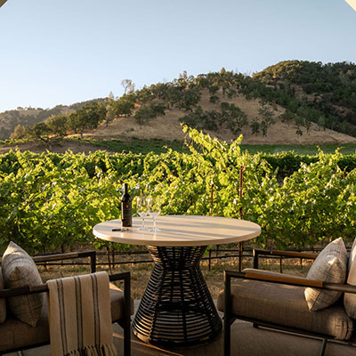 Vineyard & Mountain Views