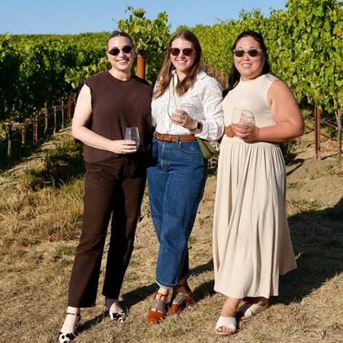 An Afternoon in the Vineyards at Cuvaison