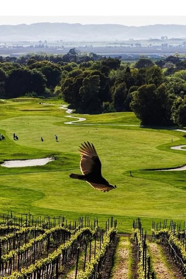 Chardonnay Golf Club