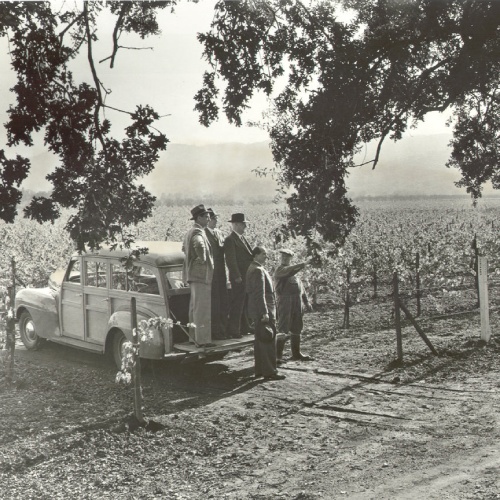 Beaulieu Vineyard