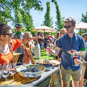 Wine & Dine Amongst the Vines at Peju