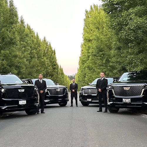 Luxury Chauffeur Experience