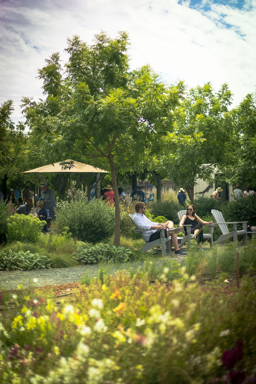 outdoor tasting experience at Frog's Leap Winery in Napa Valley, CA