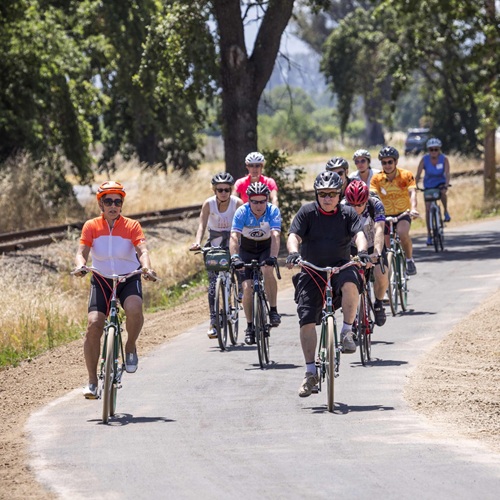 Music Moves You at Napa Valley Vine Trail Rest Stop