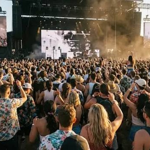 Palm Tree Music Festival at Napa Music Hall